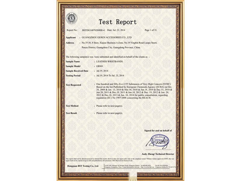 test report(图1)